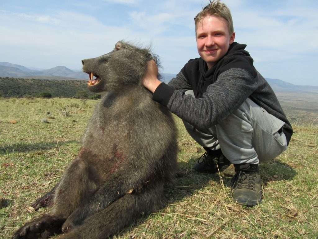 Baboon