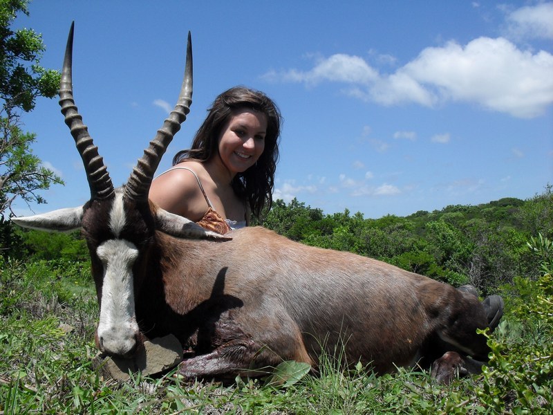 Blesbuck