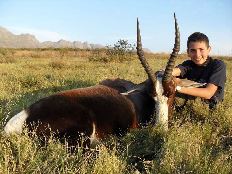 Blesbuck