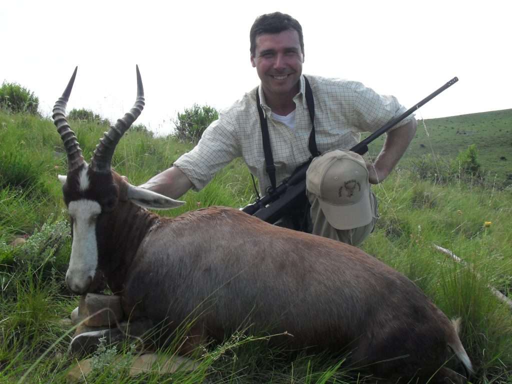 Blesbuck