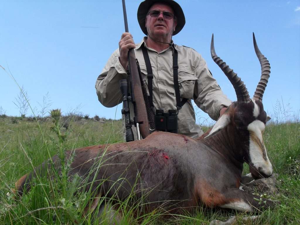 Blesbuck