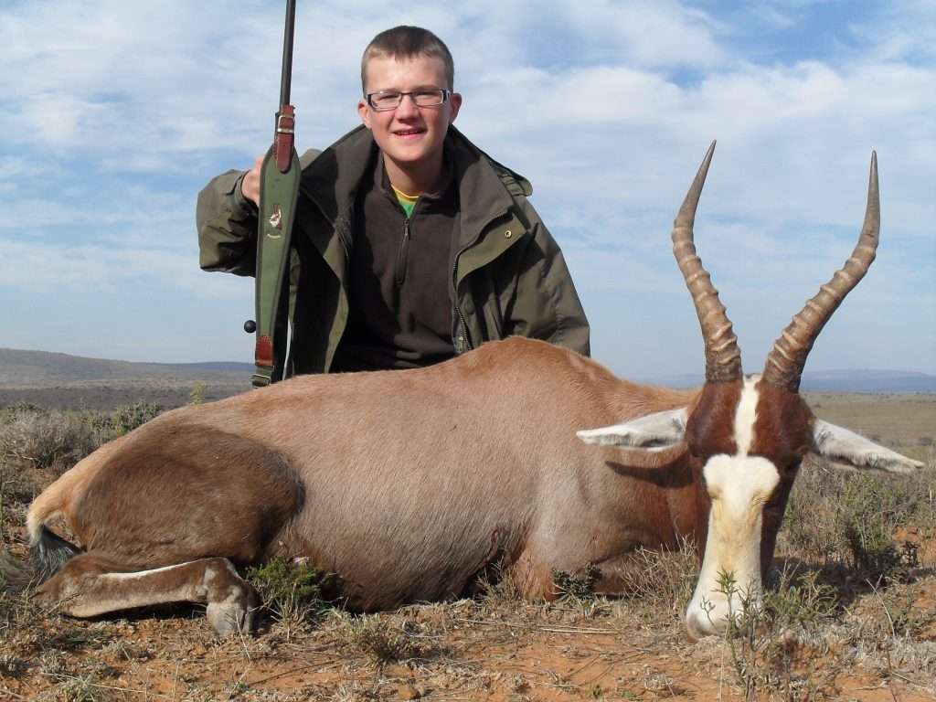 Blesbuck