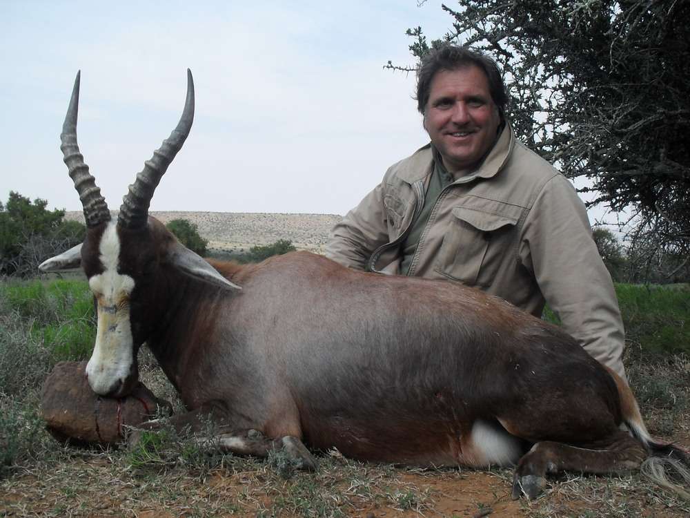 Blesbuck