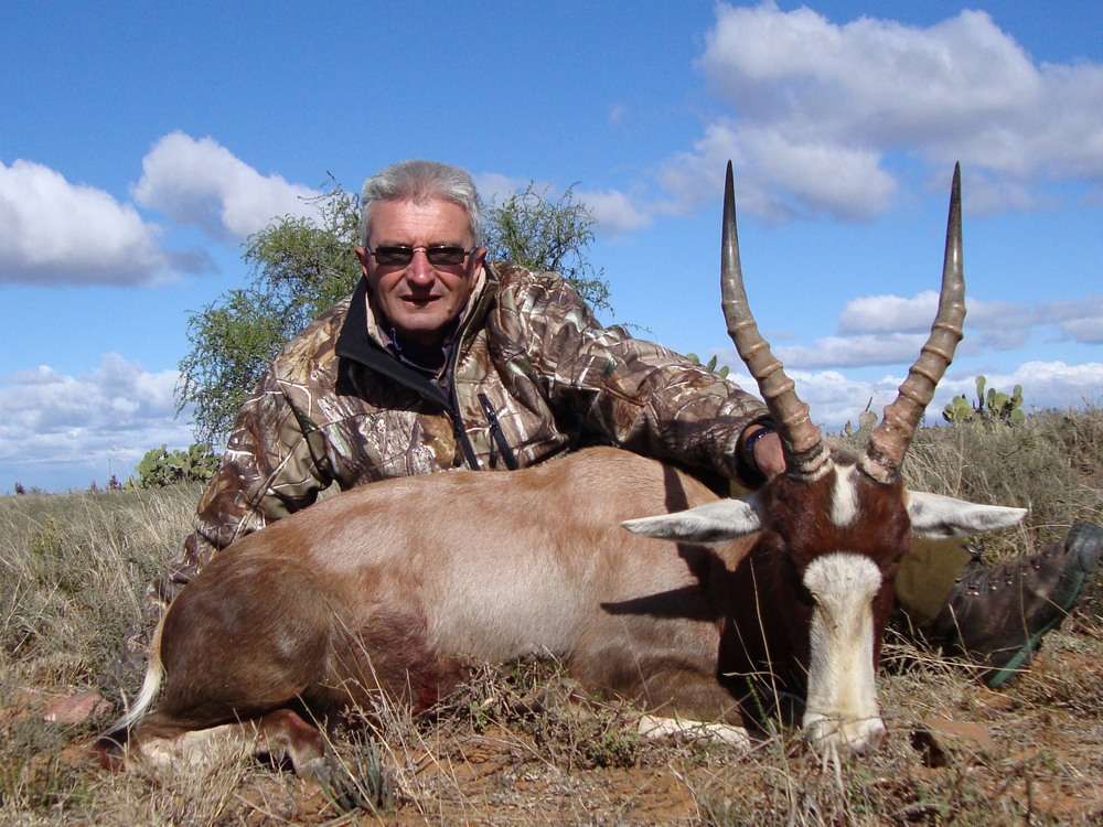 Blesbuck