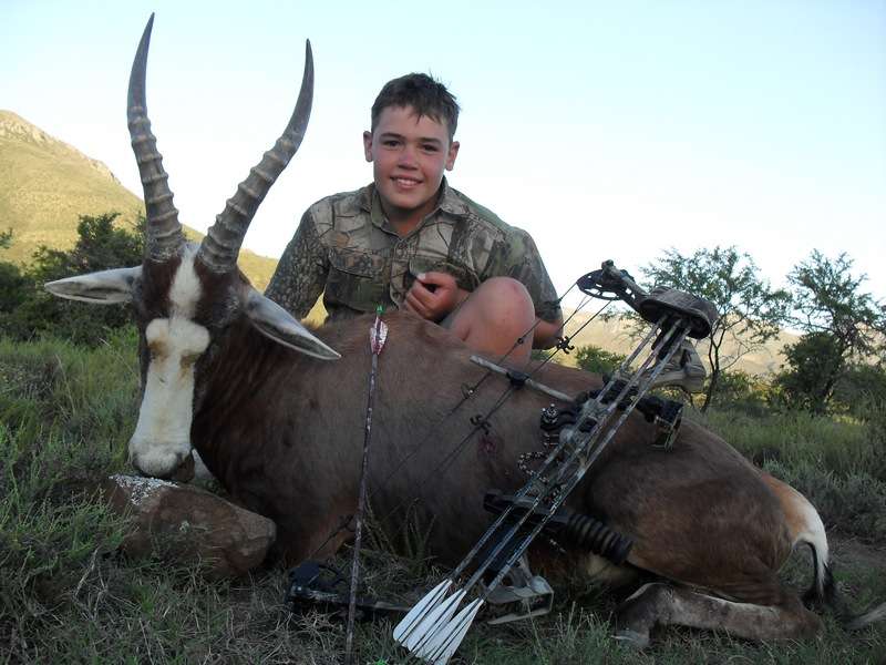 Blesbuck