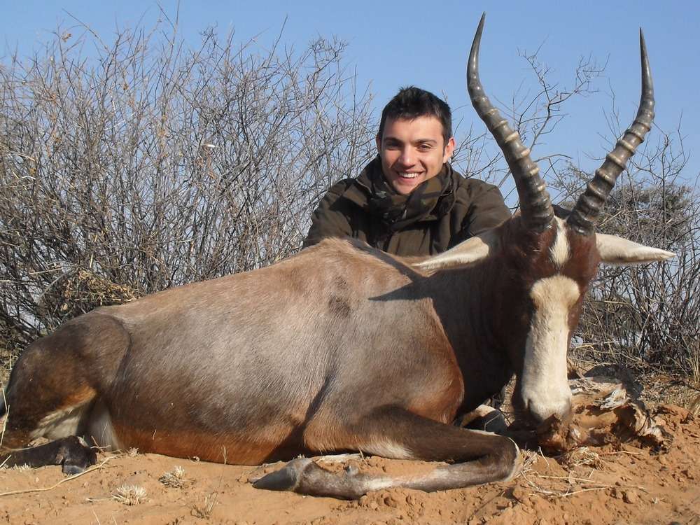 Blesbuck
