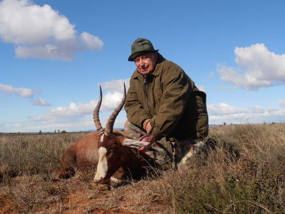 Blesbuck