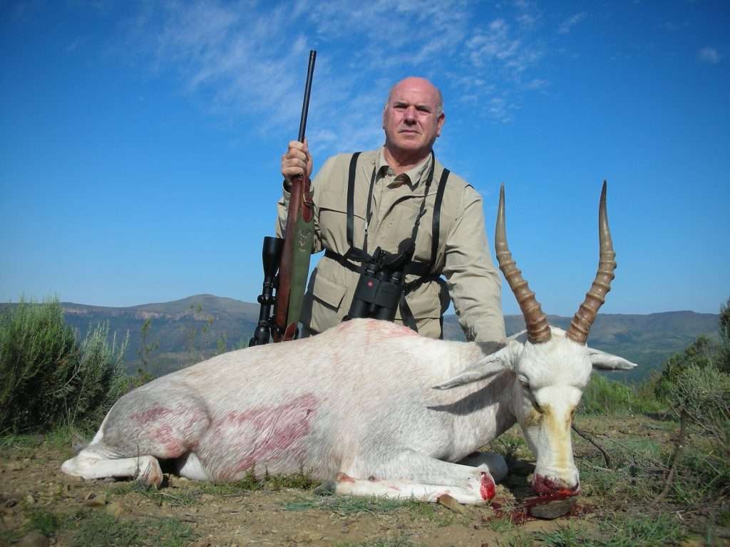 Blesbuck - White - Non Trophy