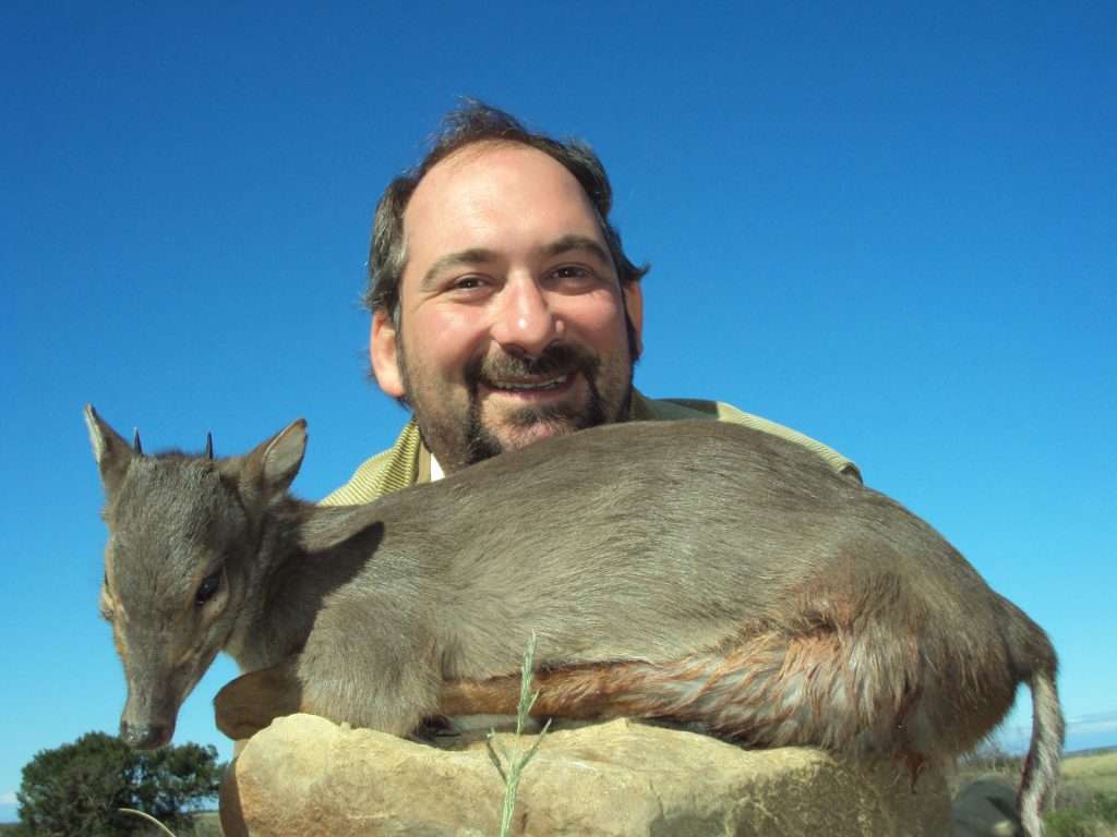 Duiker - Blue