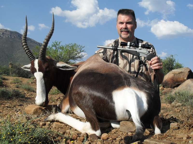 Bontebok