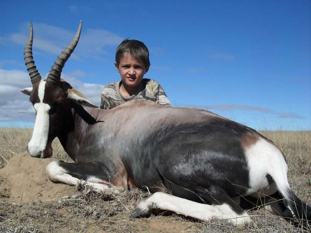 Bontebok