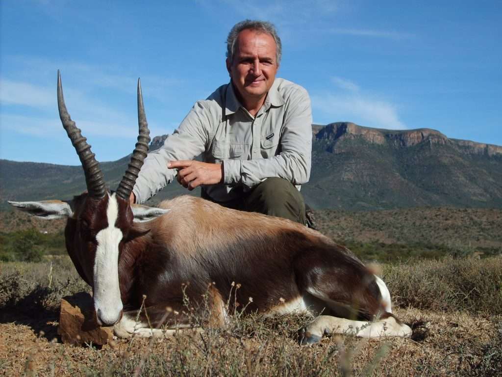 Bontebok