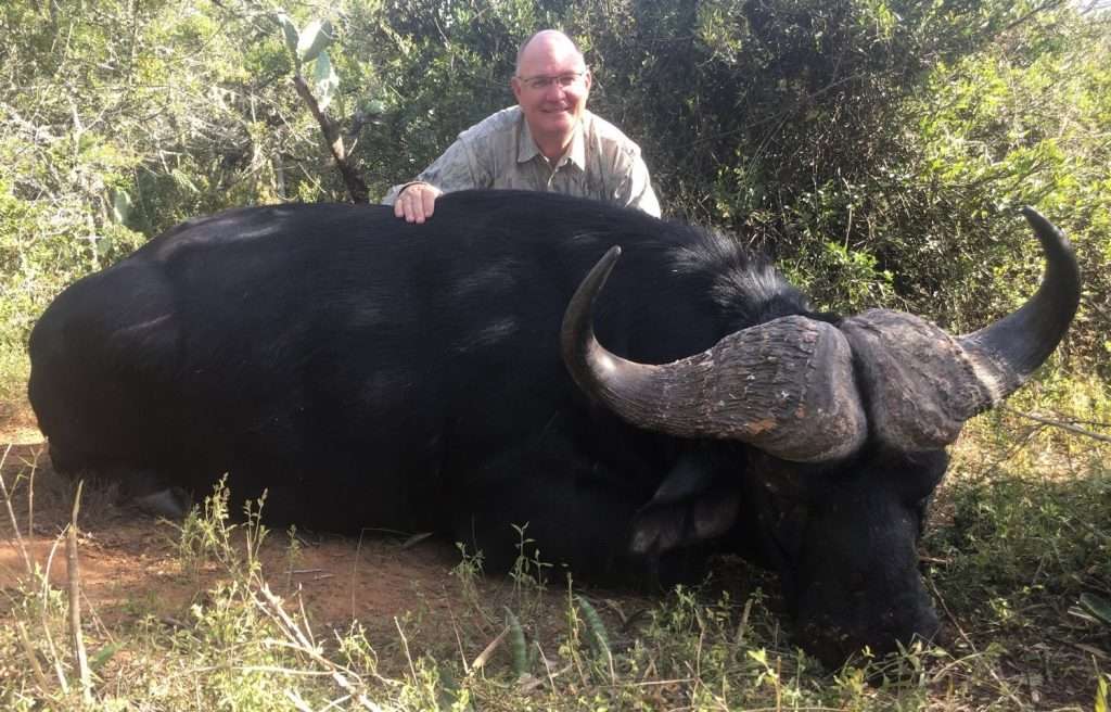 Buffalo