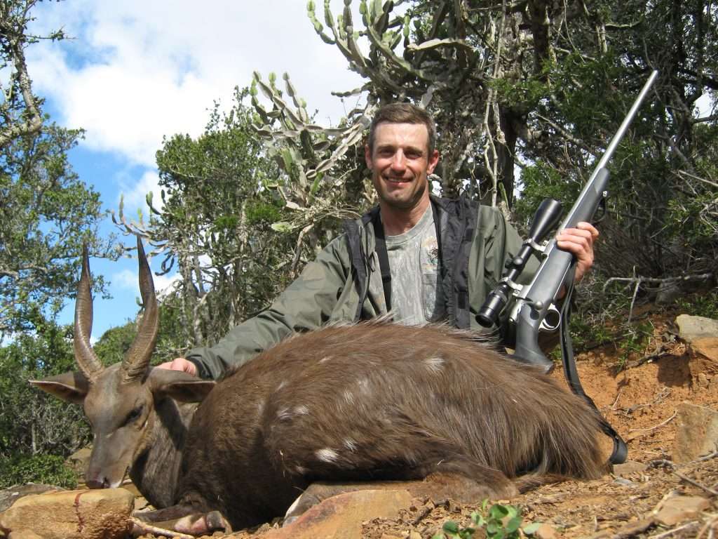 Bushbuck