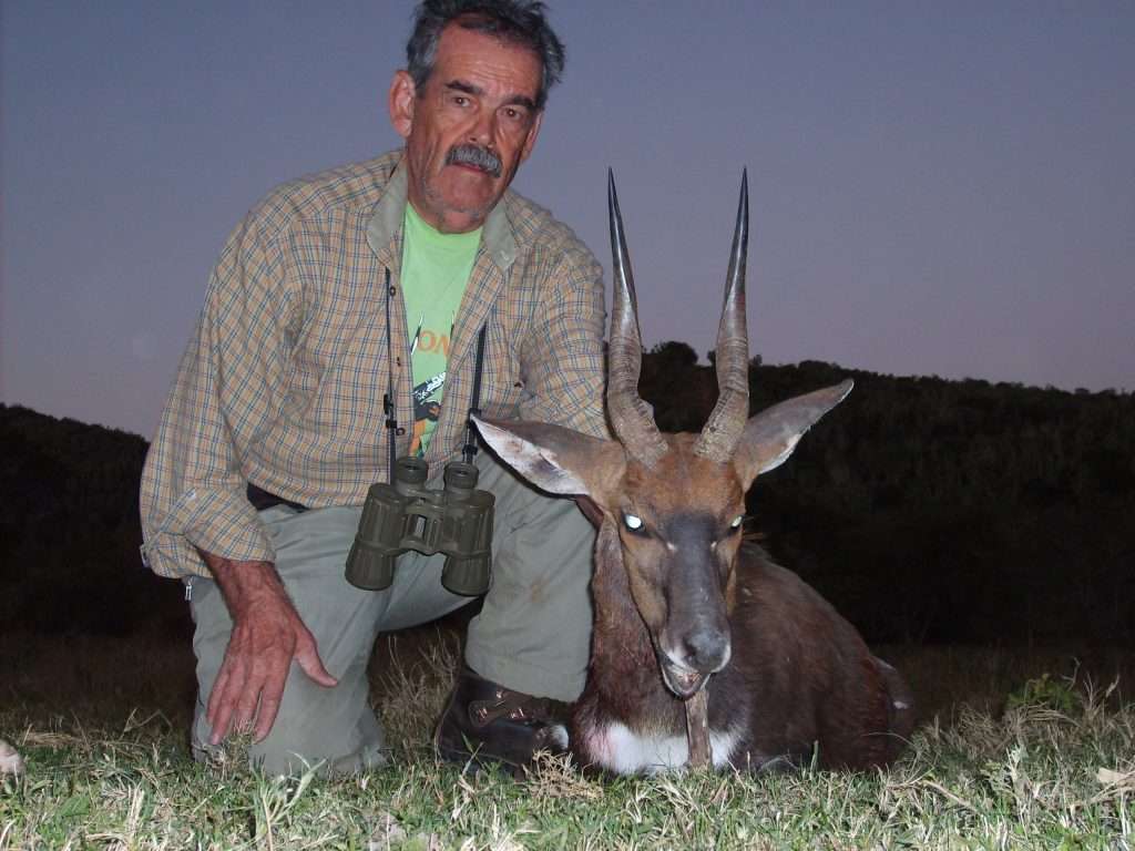 Bushbuck