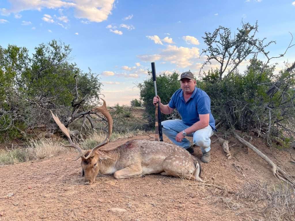 Fallow Deer - Non Trophy