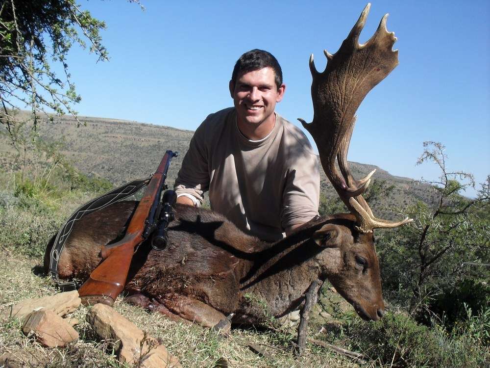 Fallow Deer - Non Trophy
