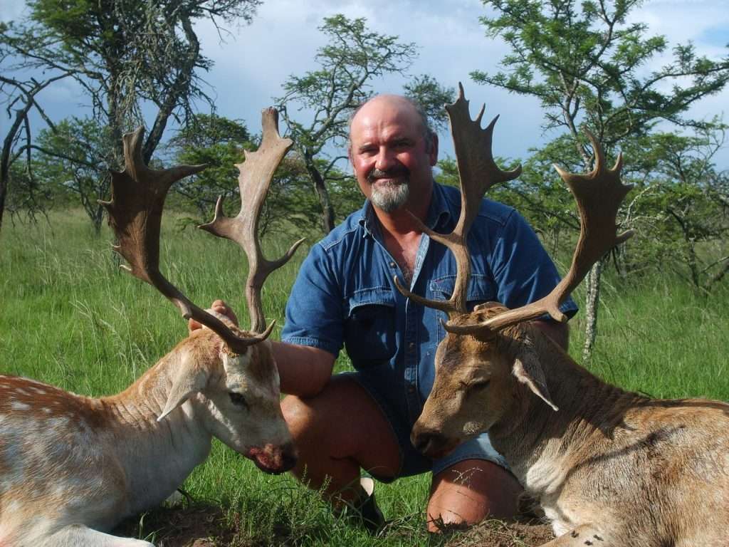 Fallow Deer - Non Trophy