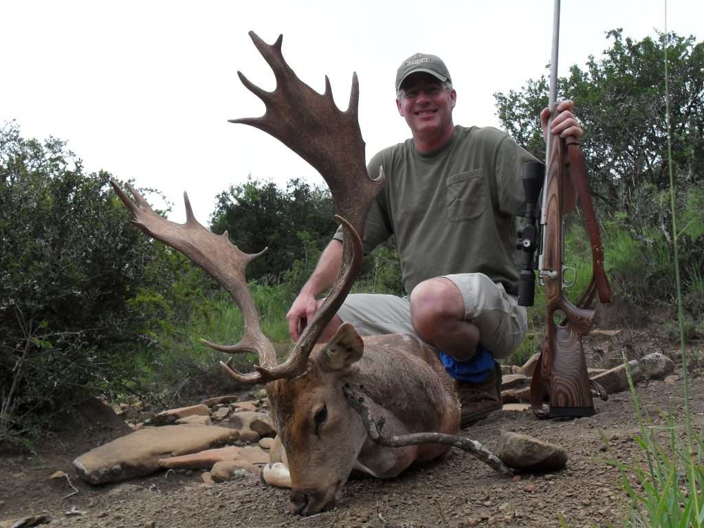 Fallow Deer - Non Trophy