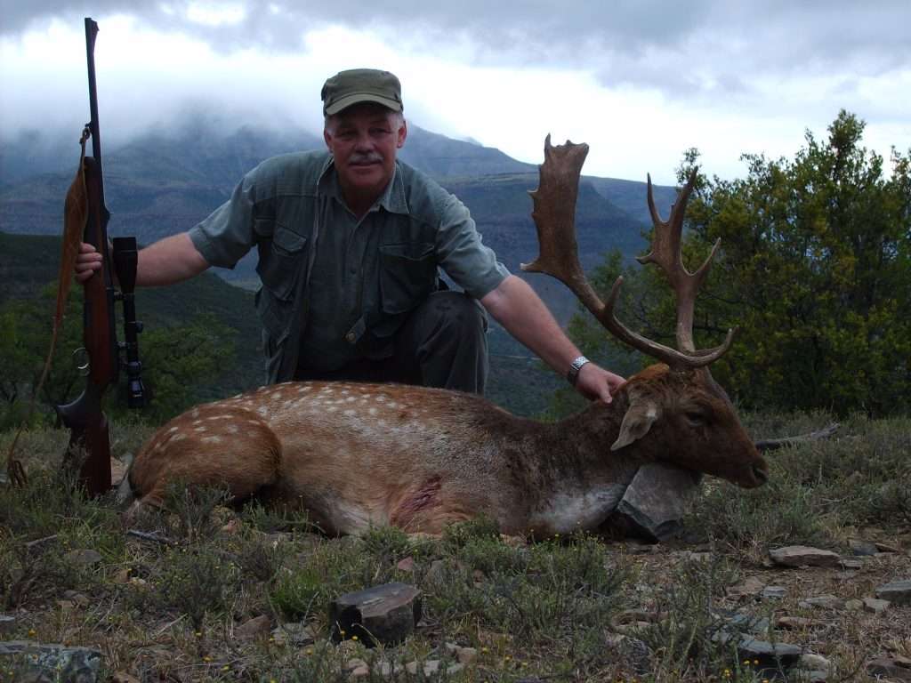 Fallow Deer - Non Trophy