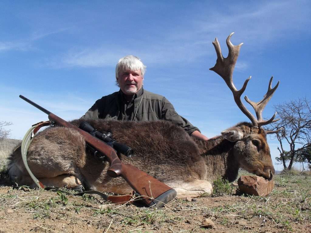 Fallow Deer - Non Trophy