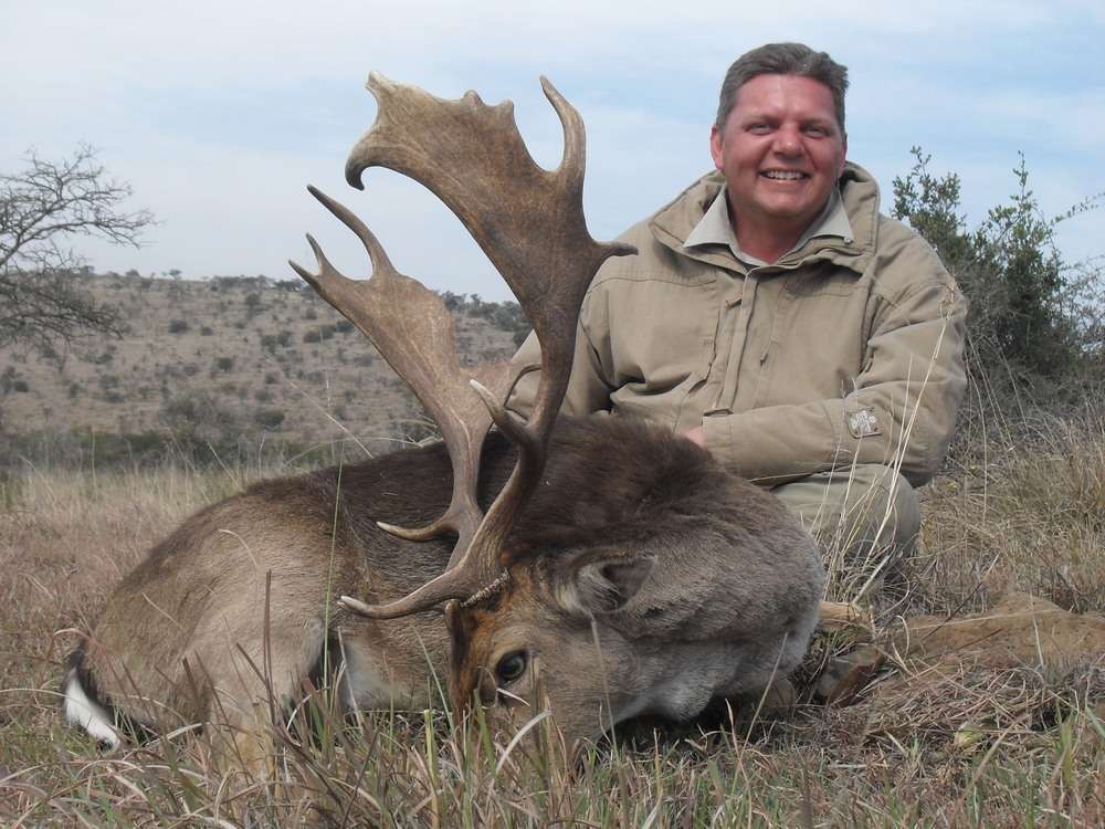 Fallow Deer - Non Trophy