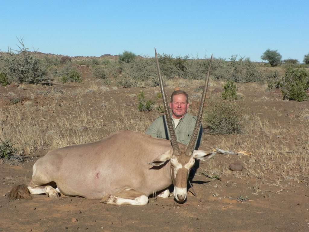Gemsbuck Golden