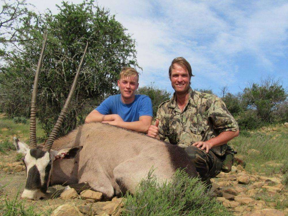 Gemsbuck