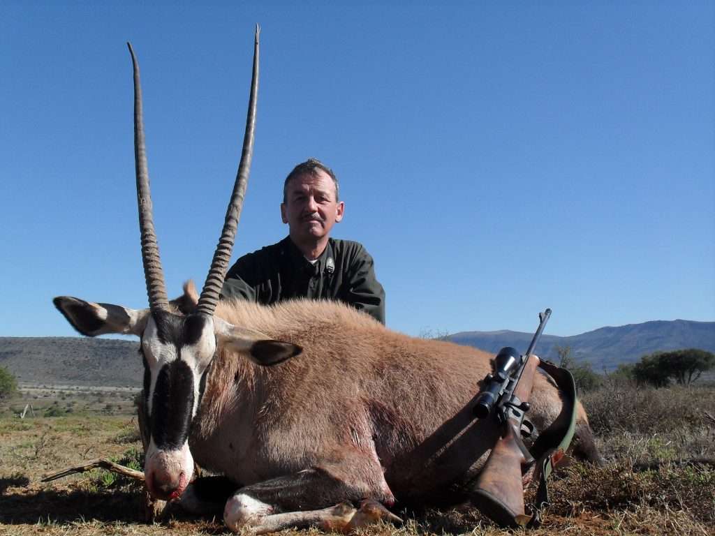 Gemsbuck