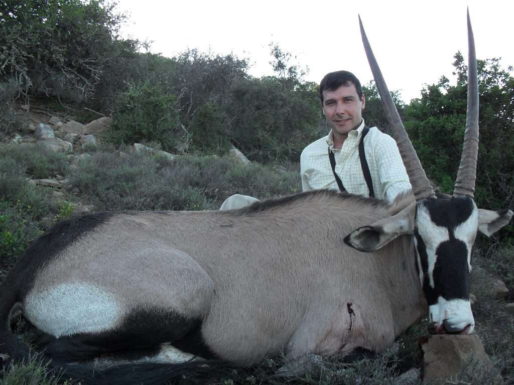 Gemsbuck