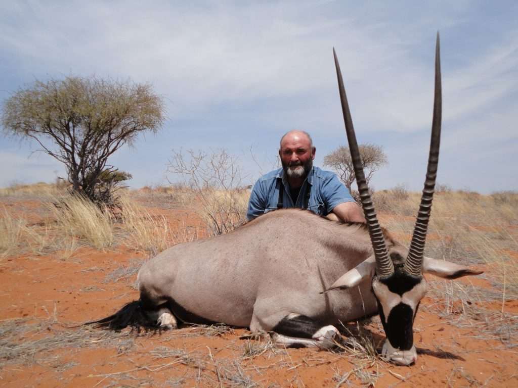 Gemsbuck