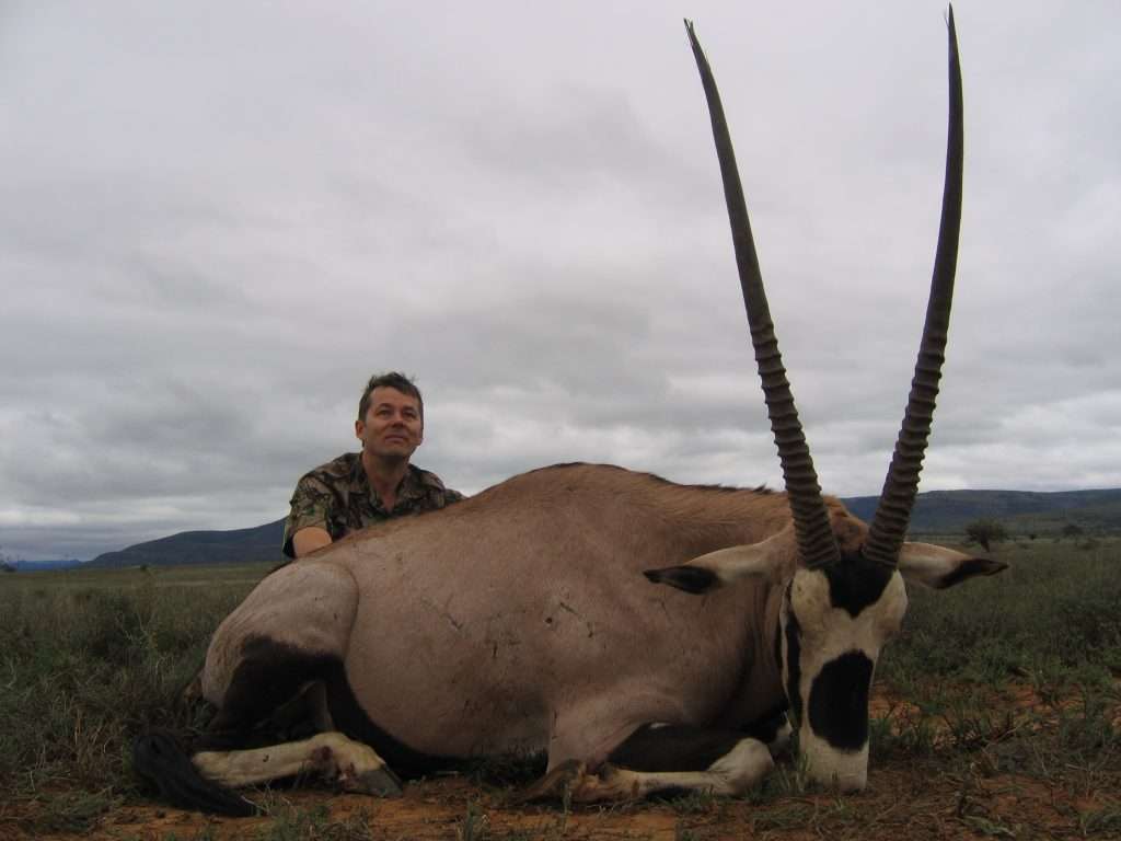Gemsbuck