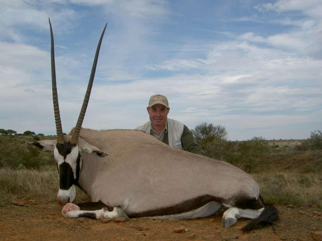 Gemsbuck