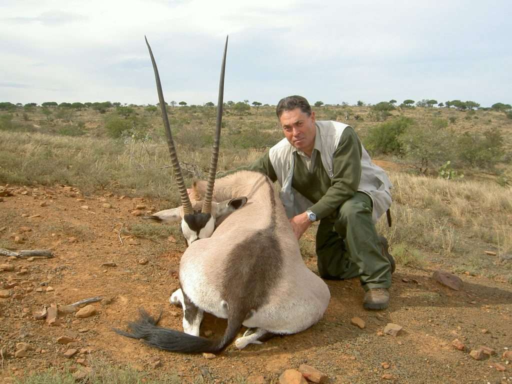 Gemsbuck