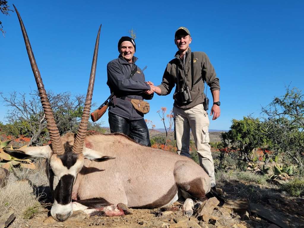 Gemsbuck