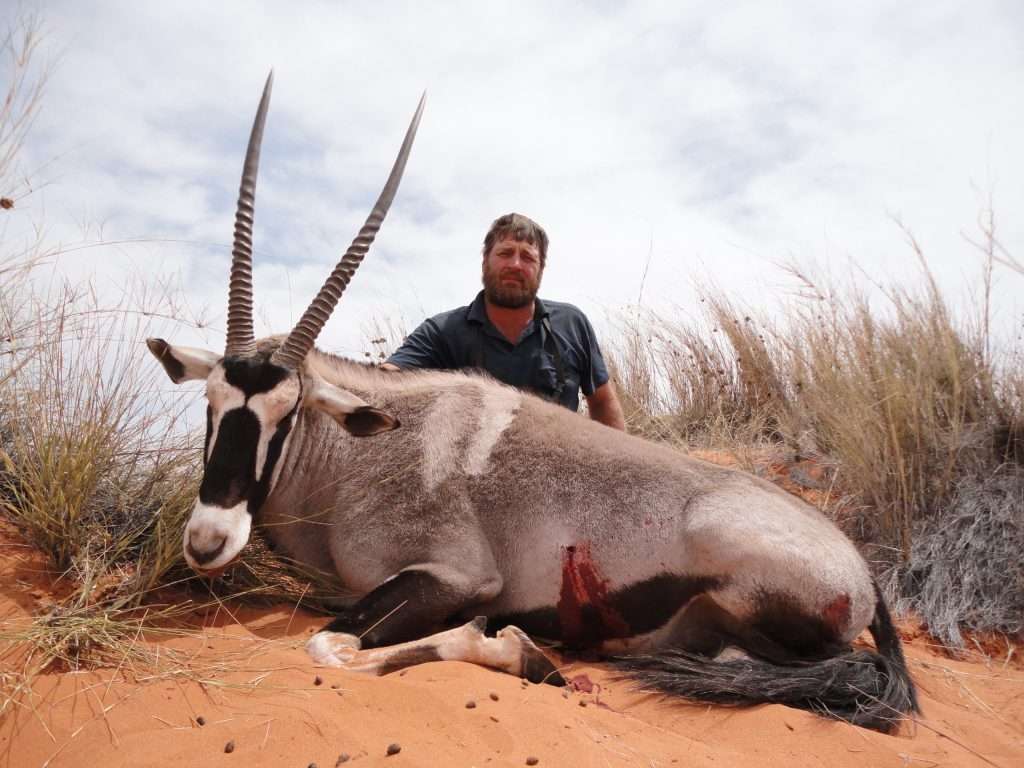 Gemsbuck