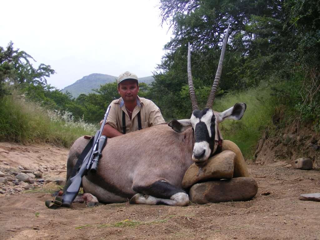 Gemsbuck