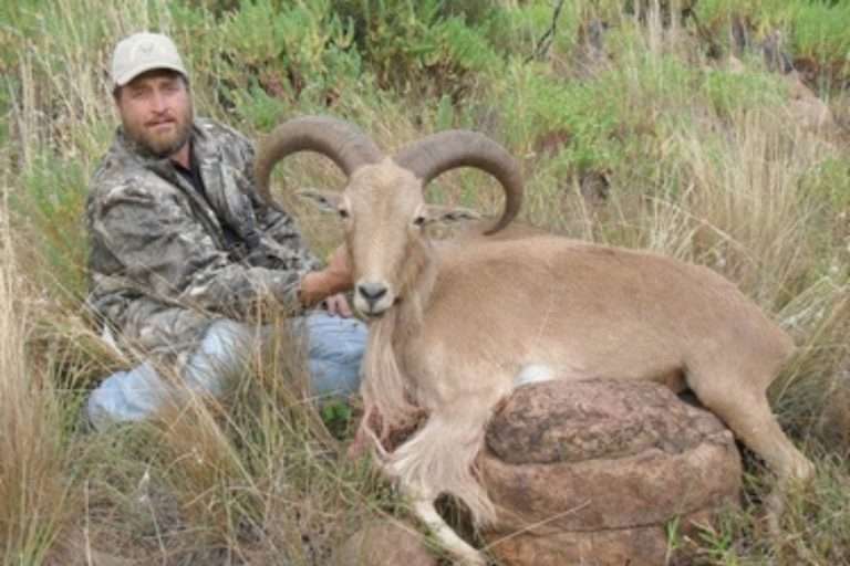 Hoeksfontein Safari - South Africa - Bow Hunting - Eastern Cape (9)
