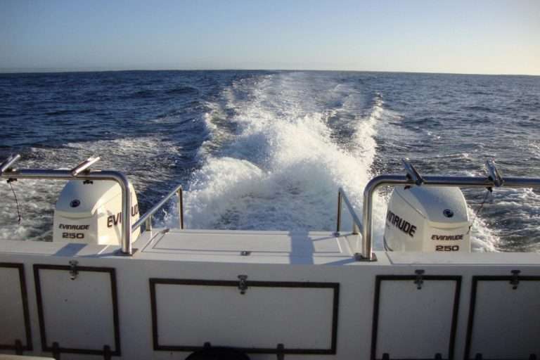 Hoeksfontein Safari - South Africa - FISHING Trips - Eastern Cape 2024 (4)