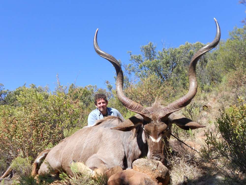 Kudu - East Cape