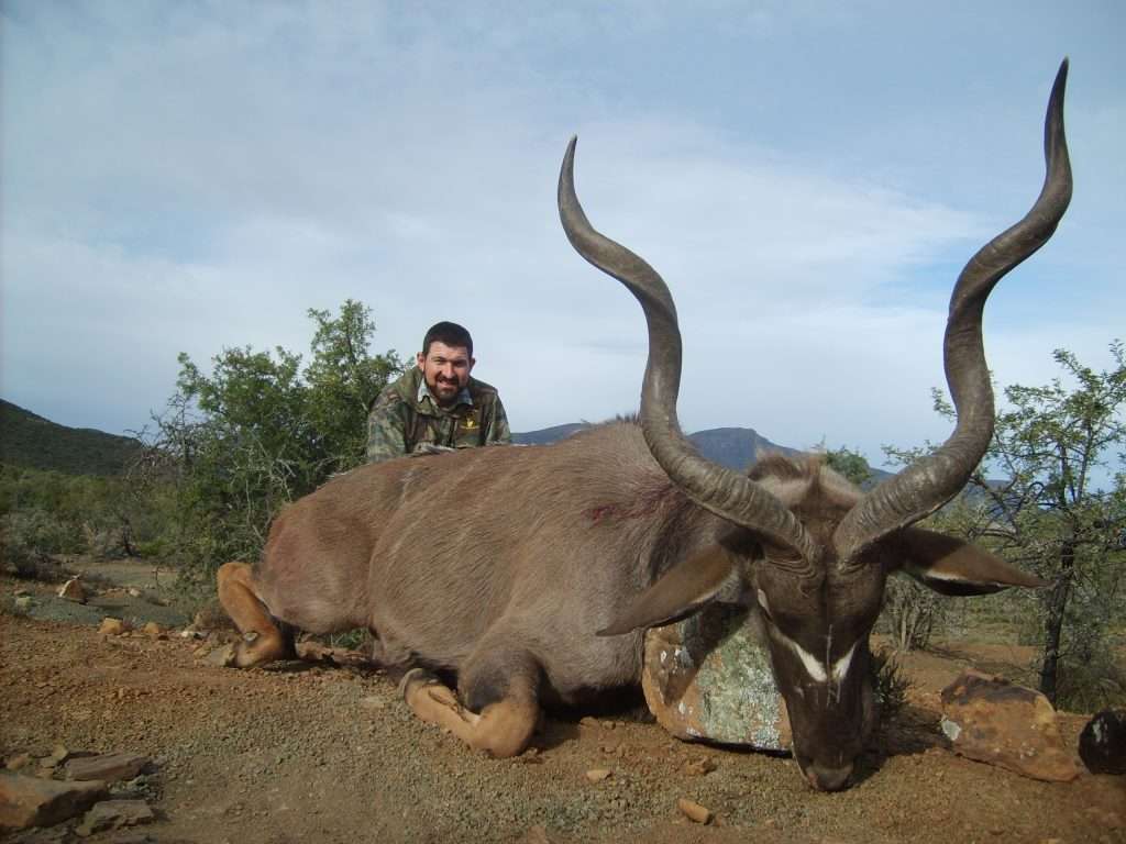 Kudu - East Cape