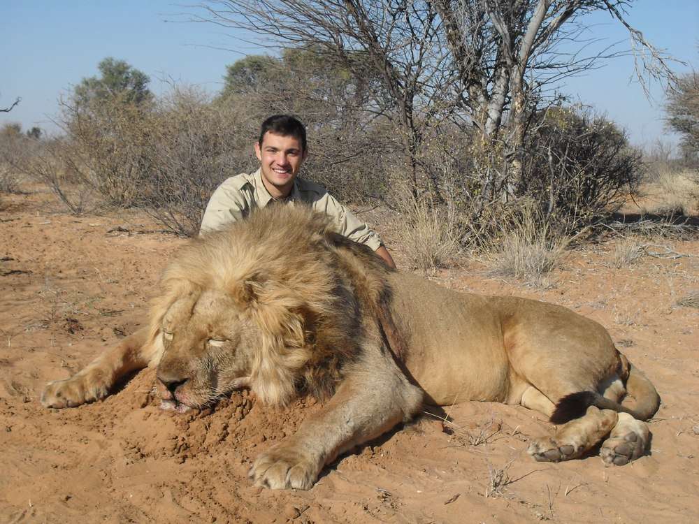 Lion