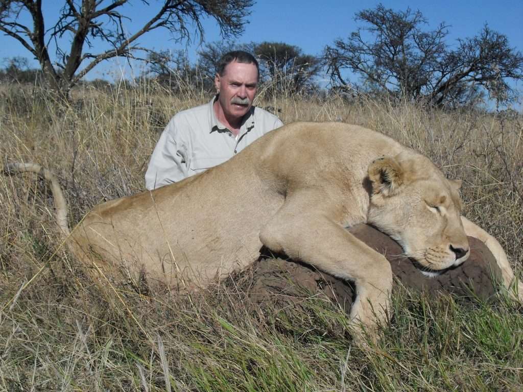 Lion