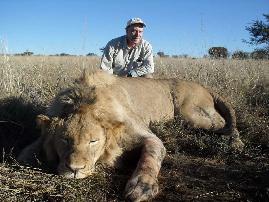 Lion