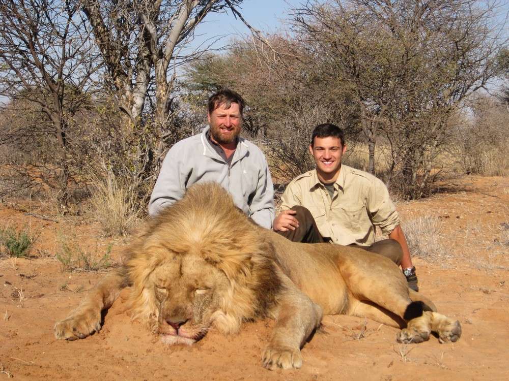 Lion