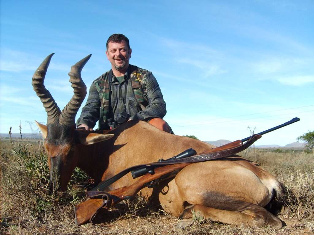 Red Hartebeest - Non Trophy