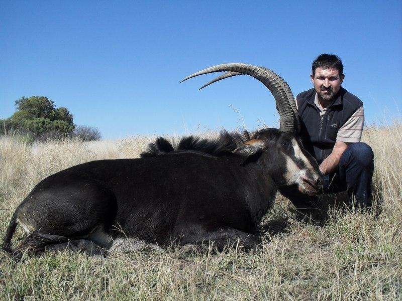 Sable