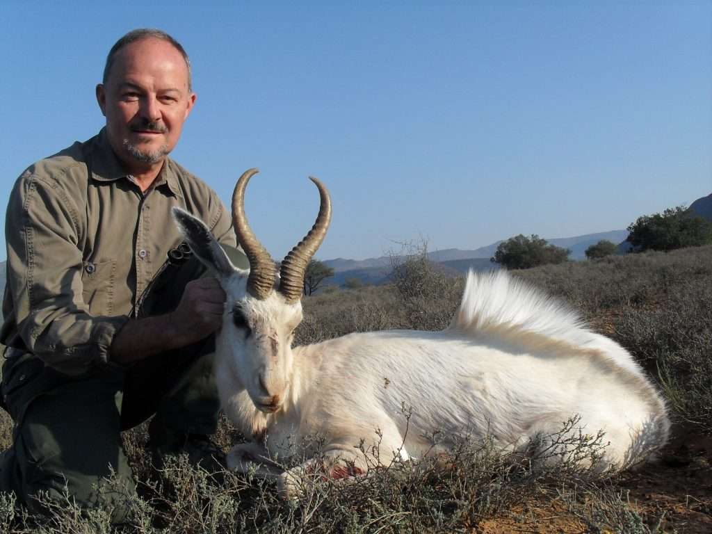 Springbuck - White - Non Trophy