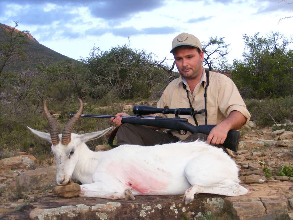 Springbuck - White - Non Trophy