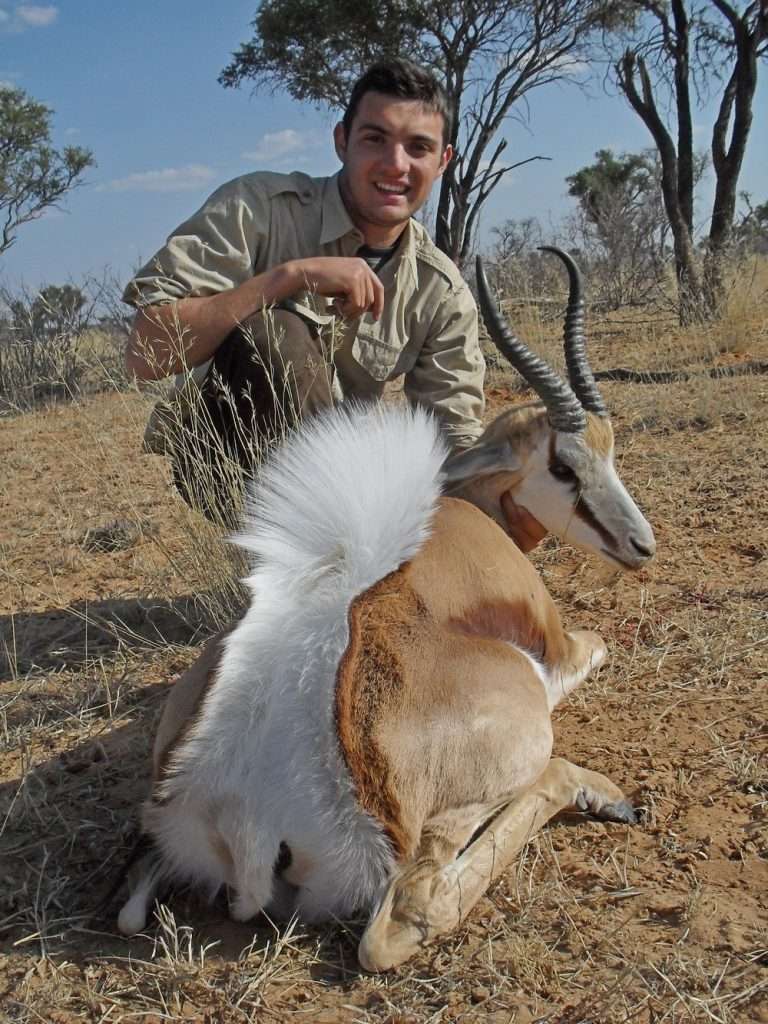 Springbuck - Cape
